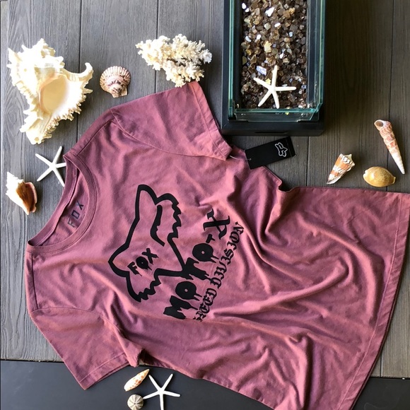 🌾FOX🌾 - Picture 2 of 4